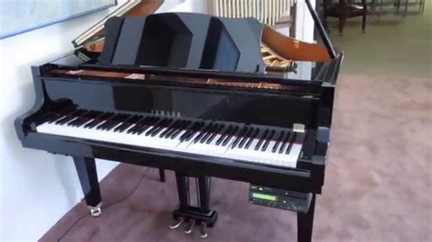 Yamaha Baby Grand Piano Price - Baby Viewer