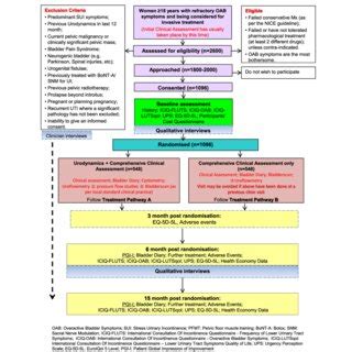 Flow Diagram Illustrating The Participants Journey Through The Future