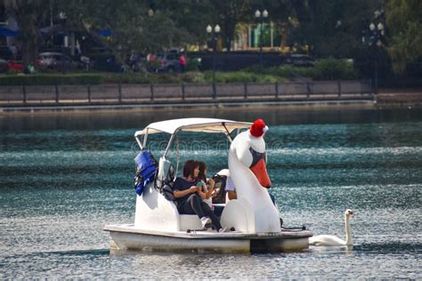 Nice Swan and Swan Boat in Lake Eola Park at Orlando Downtown Area ...