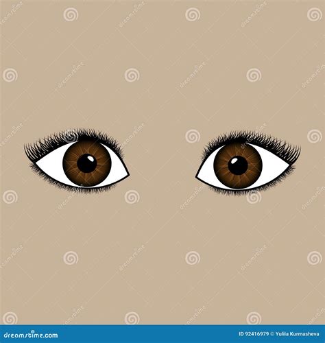 Female Hazel Eyes Stock Vector Illustration Of Yelids 92416979