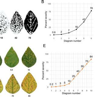 PDF Plant Disease Severity Estimated Visually A Century Of Research