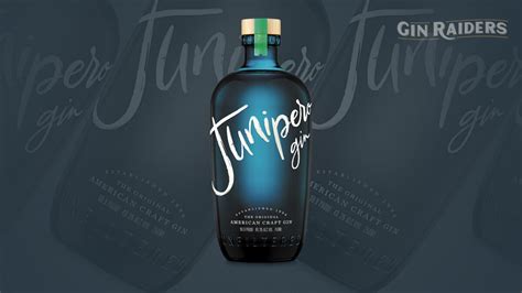 7 Best London Dry Gins To Try In 2023 Bottle Raiders