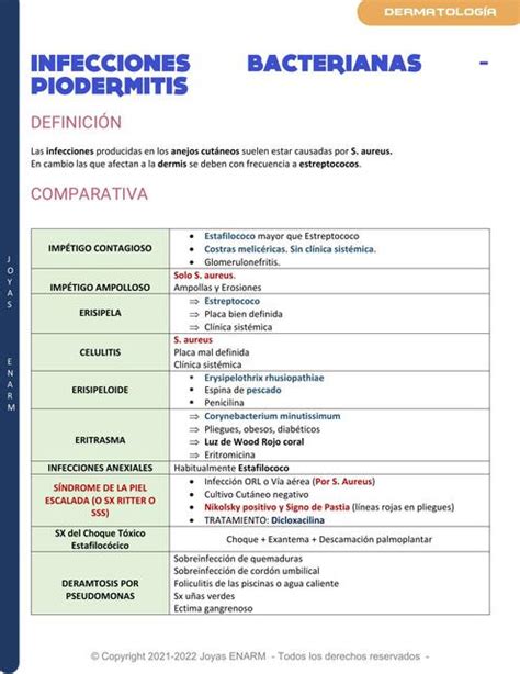 Infecciones Bacterianas Piodermitis Dra Liderly UDocz