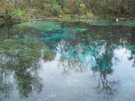 Ichetucknee Springs State Park - Alchetron, the free social encyclopedia