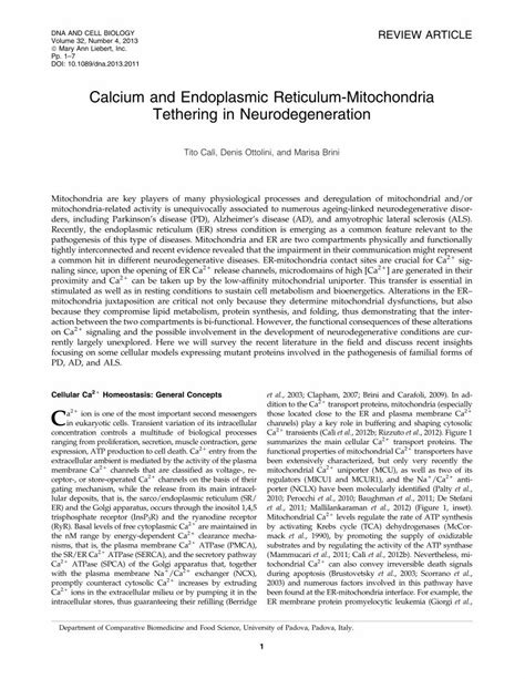 Pdf Calcium And Endoplasmic Reticulum Mitochondria Tethering In