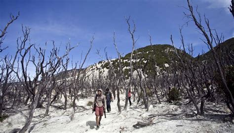 Ppkm Level Wisata Alam Papandayan Garut Uji Coba Buka Untuk Umum