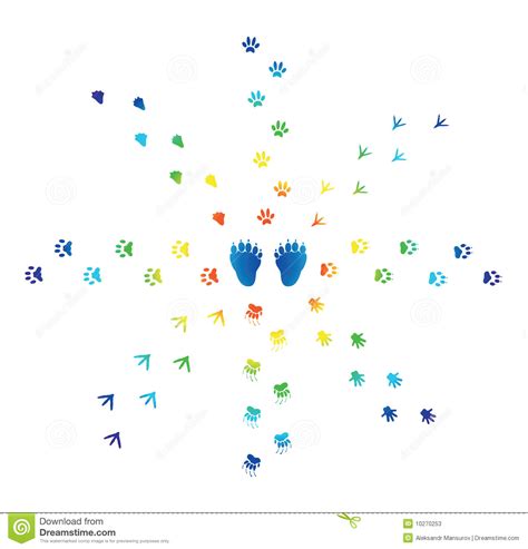 Rainbow Of Traces Stock Vector Illustration Of Rainbow 10270253