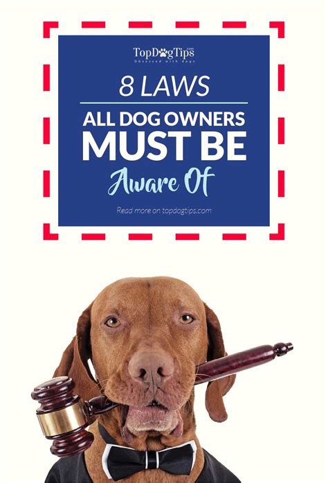 8 Laws All Dog Owners Should Be Aware Of – Top Dog Tips