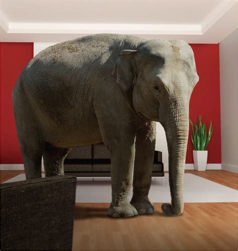 The Elephant In The Room