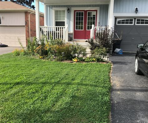 How to Reseed Your Lawn with Grass and MicroClover - House by the Bay ...