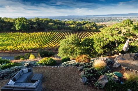 The 11 Best Wineries in Sonoma County