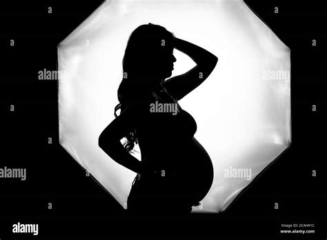 Pregnant Beauty Belly Telegraph