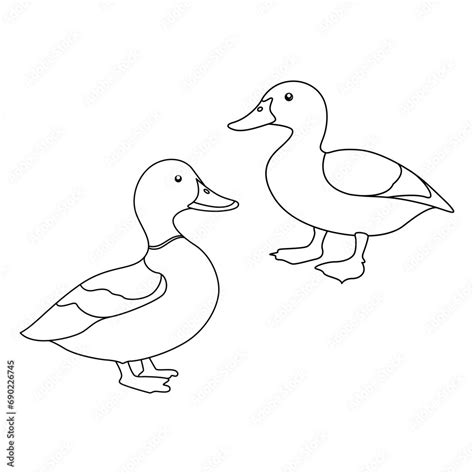 Coloring Page For Duck Vector Illustration Kindergarten Children