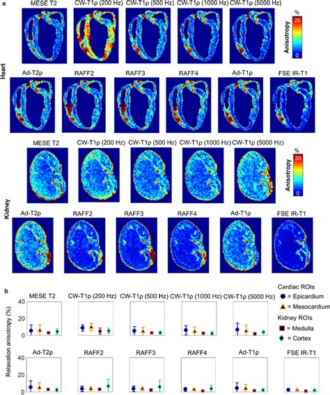 (a) Relaxation anisotropy maps of quantitative MRI parameters in heart ...