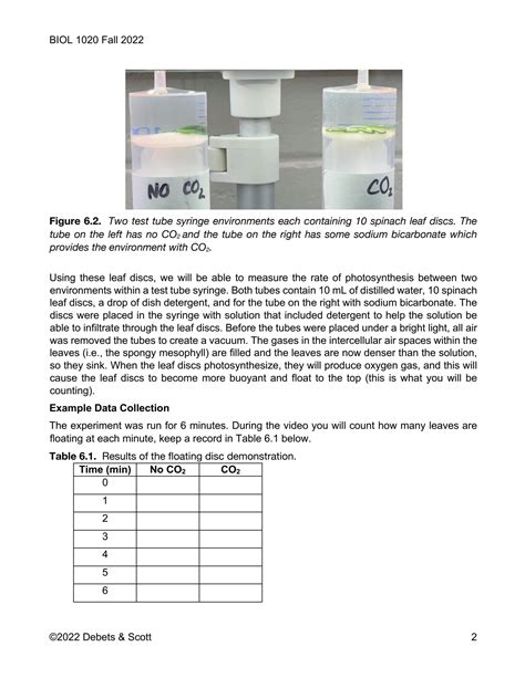 Solution Biol Lab Handout Studypool