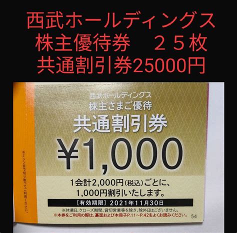 最安値即納 西武ホールディングス 25枚 25000円分 株主優待共通割引券 低価国産