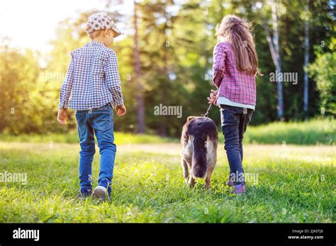 Children walking with a dog in nature Stock Photo - Alamy