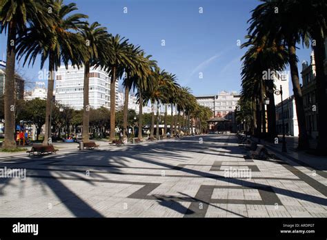 Palm Trees Lining A Promenade In Central La Coruña Spain Stock Photo