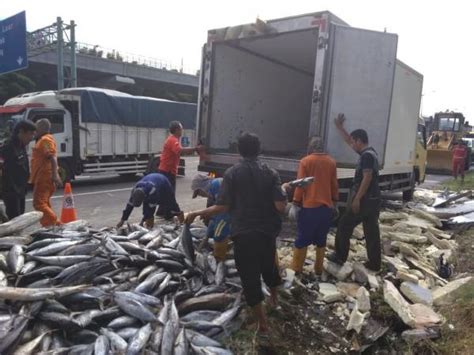 Miris Truk Muatan Ikan Dijarah Warga Usai Kecelakaan Di Tol Japek