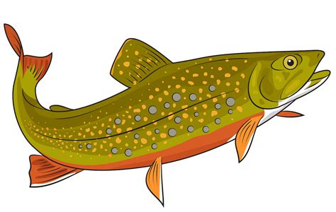 Free Trout Cliparts Download Free Trout Cliparts Png Images Free