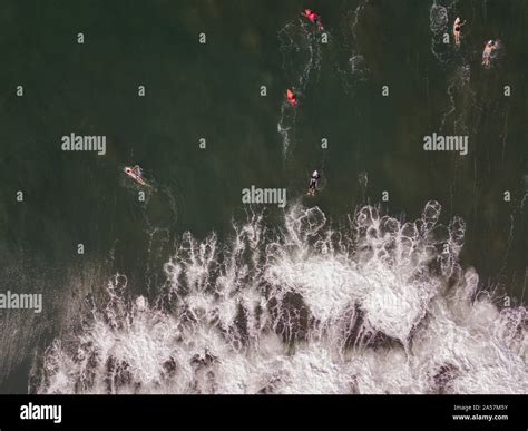 Aerial view of surfers Stock Photo - Alamy