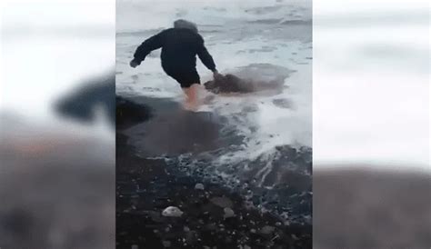 YouTube Viral Hombre Arriesga Su Vida E Ingresa Al Mar Para Salvar A