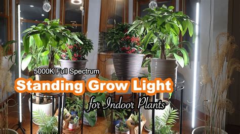 Best Grow Lights For Indoor Plants Barrina 5000K Full Spectrum Standing