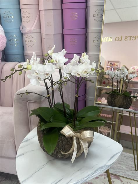 Nature Ceramic Vase with Small Orchids - My Divine Decors Flower ...