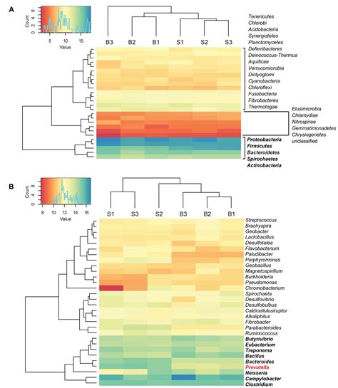 Frontiers Metatranscriptome Sequencing Reveals Insights Into The Gene