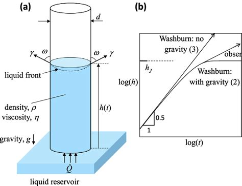 A Sketch Of Capillary Rise In A Vertical Tube B Sketch Of The