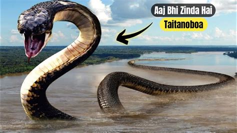 Mysteries Of Worlds Biggest Snake Titanoboa Duniya Ka Sabse Bada