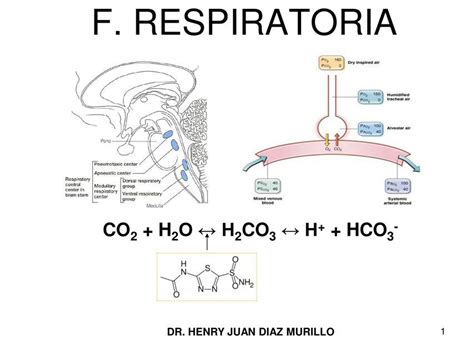 Fisiolog A Respiratoria Jayro Vargas Medina Udocz