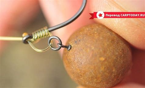 Фото 770702170268 из альбома Разное. Разместил Carptoday Карпфишинг в ...