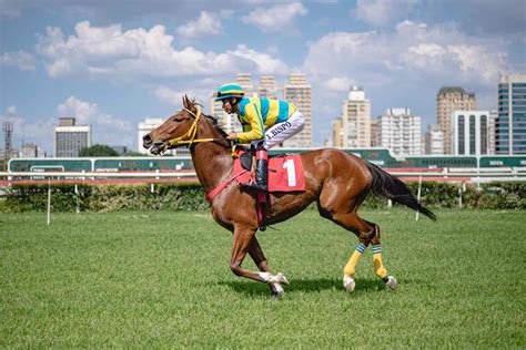 Jockey Club de São Paulo investe R 200 milhões para recuperar público