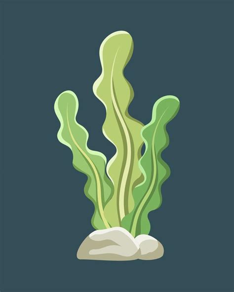 Underwater Seaweed Vector Illustration Clipart Vector Art At