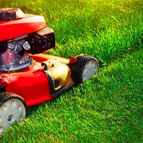 Lawn Mowing Tips for a Healthy Lawn | Calvert Lawn Care