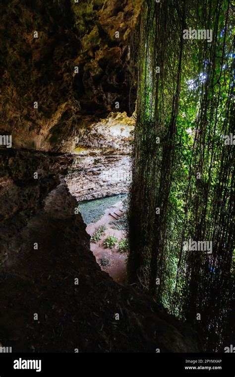 Umpherston Cave Sinkhole in Mt Gambier Australia Stock Photo - Alamy