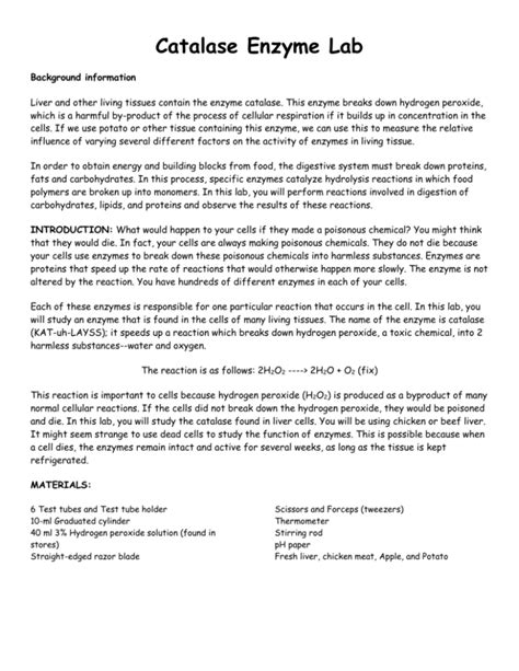 Catalase Enzyme Lab