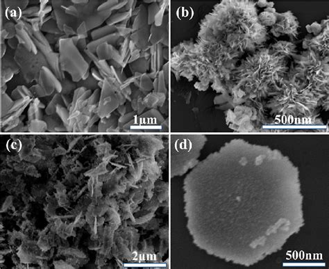 SEM Images A CrS 2 Nanoflakes B MoS 2 Microflowers C D CdS MoS