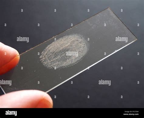 Fingerprint On Glass Fotos E Imágenes De Stock Alamy