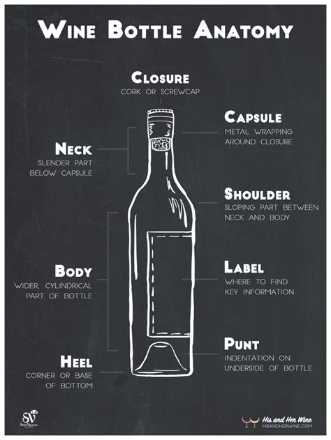 Wine Bottle Anatomy Poster Previewpng 800×1067 Wine Bottle Bottle Anatomy