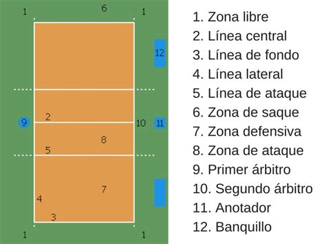 recibir Bajo paño las reglas basicas del voley Contratar Cordelia