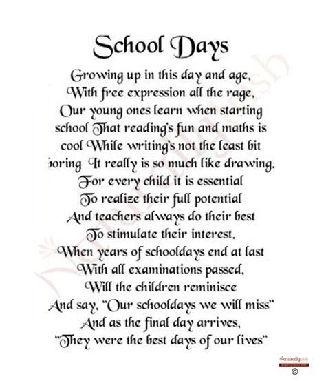 School Picture Poem