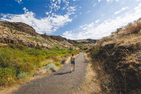 Cowiche Canyon Trails: Best Trail System in Yakima!