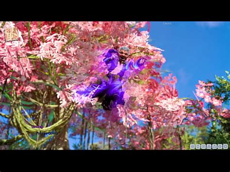 Lust Academy XVIDEOS