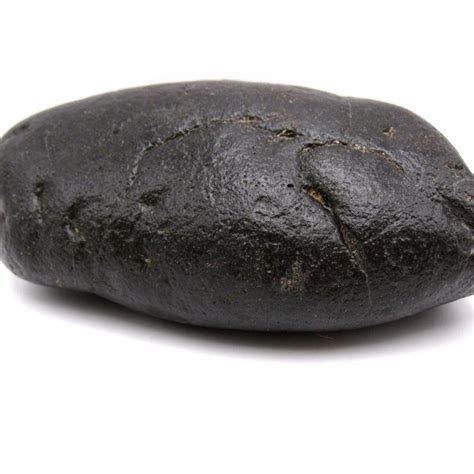 fossil coprolite  sale fossils  sale