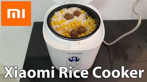 XIAOMI QF1201 Mini Rice Cooker Review YouTube