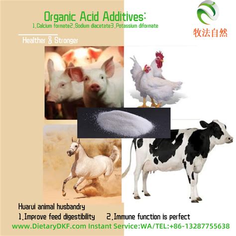 Functional Feed Additive Promote Feed Digestion Growth Promoter Immunity China Feed Additive