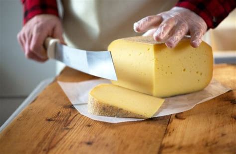 7 Surprising Health Benefits Of Cheese This Lady Blogs