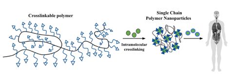 Applied Sciences Free Full Text Collagen Nanoparticles In Drug